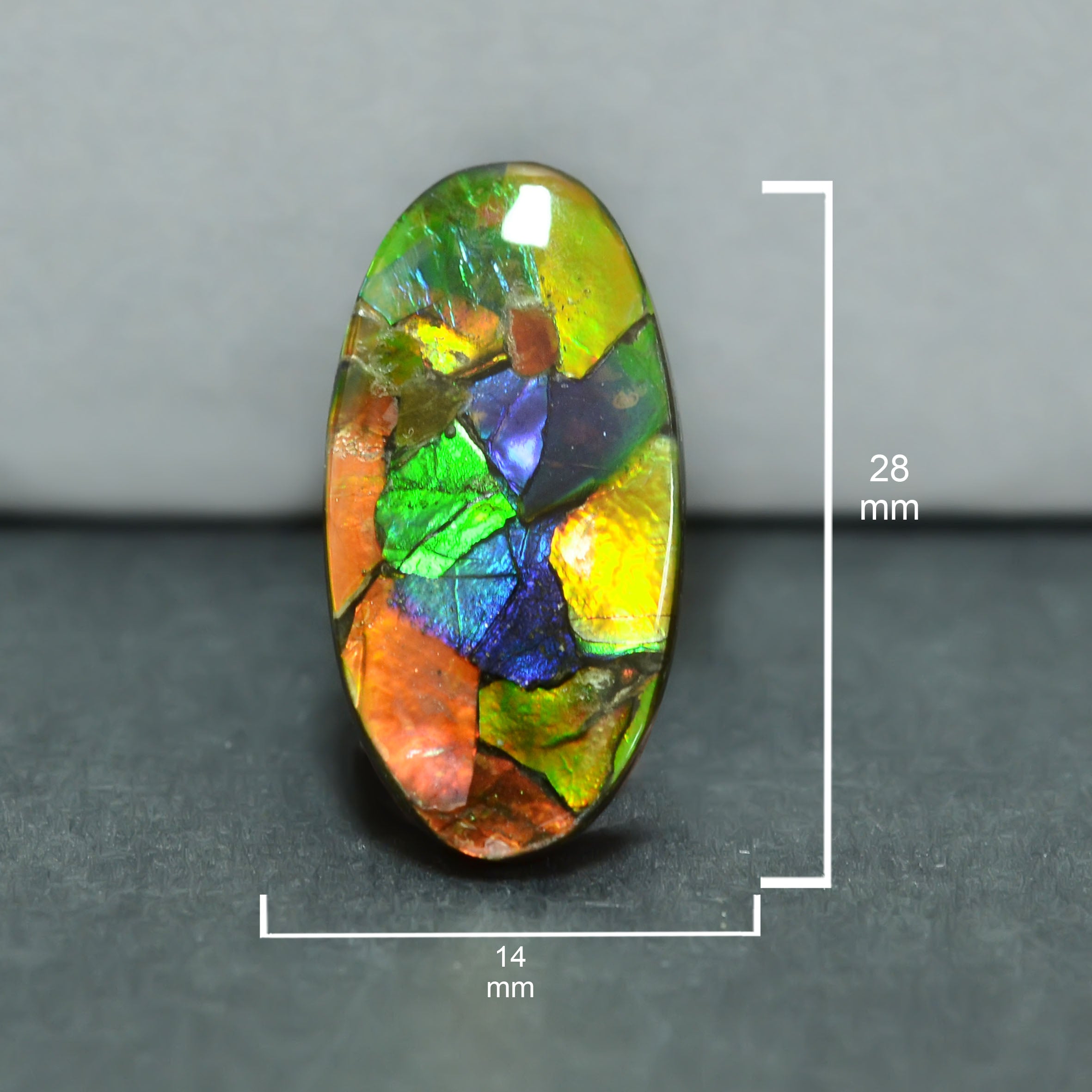 Ammolite Loose Stone