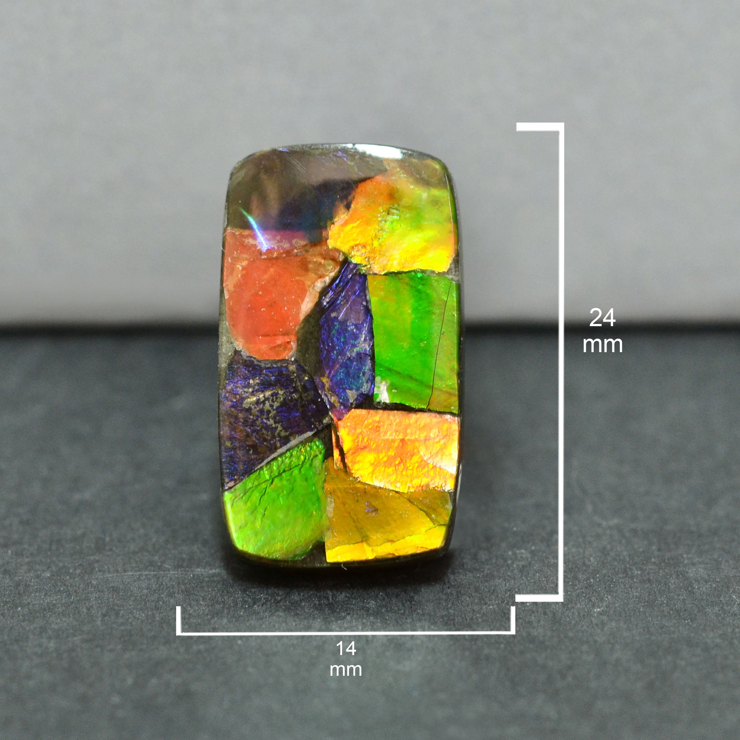 Ammolite Loose Stone