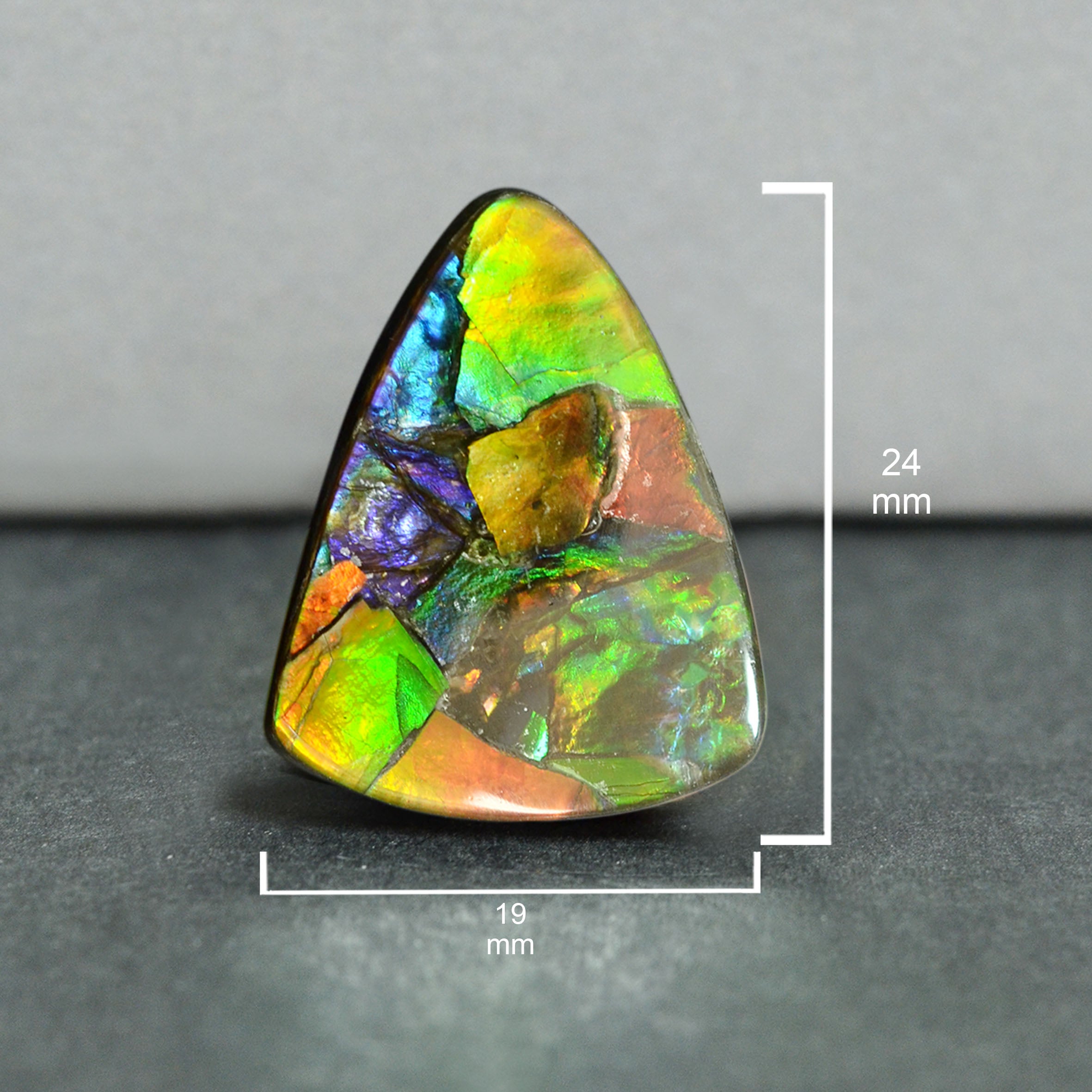 Ammolite Loose Stone