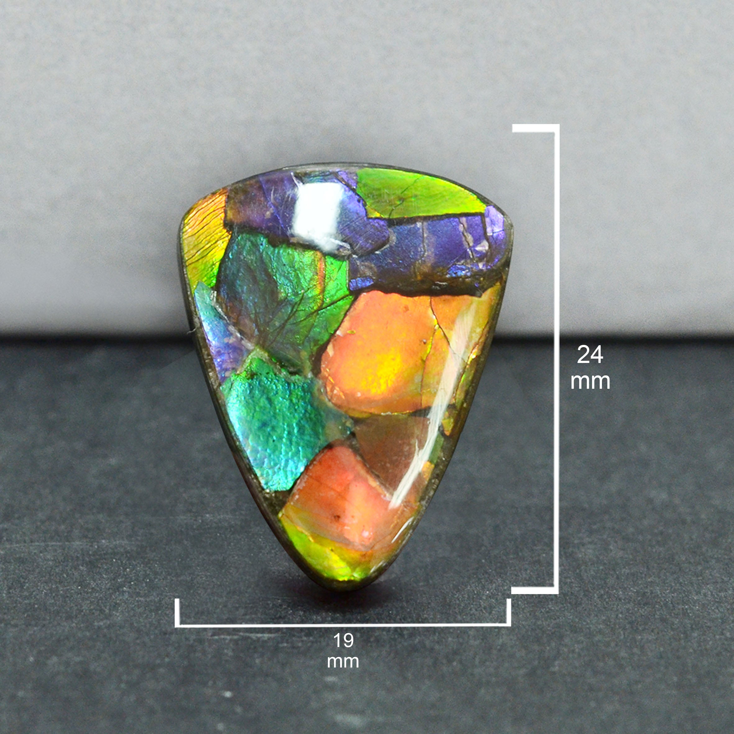 Ammolite Loose Stone