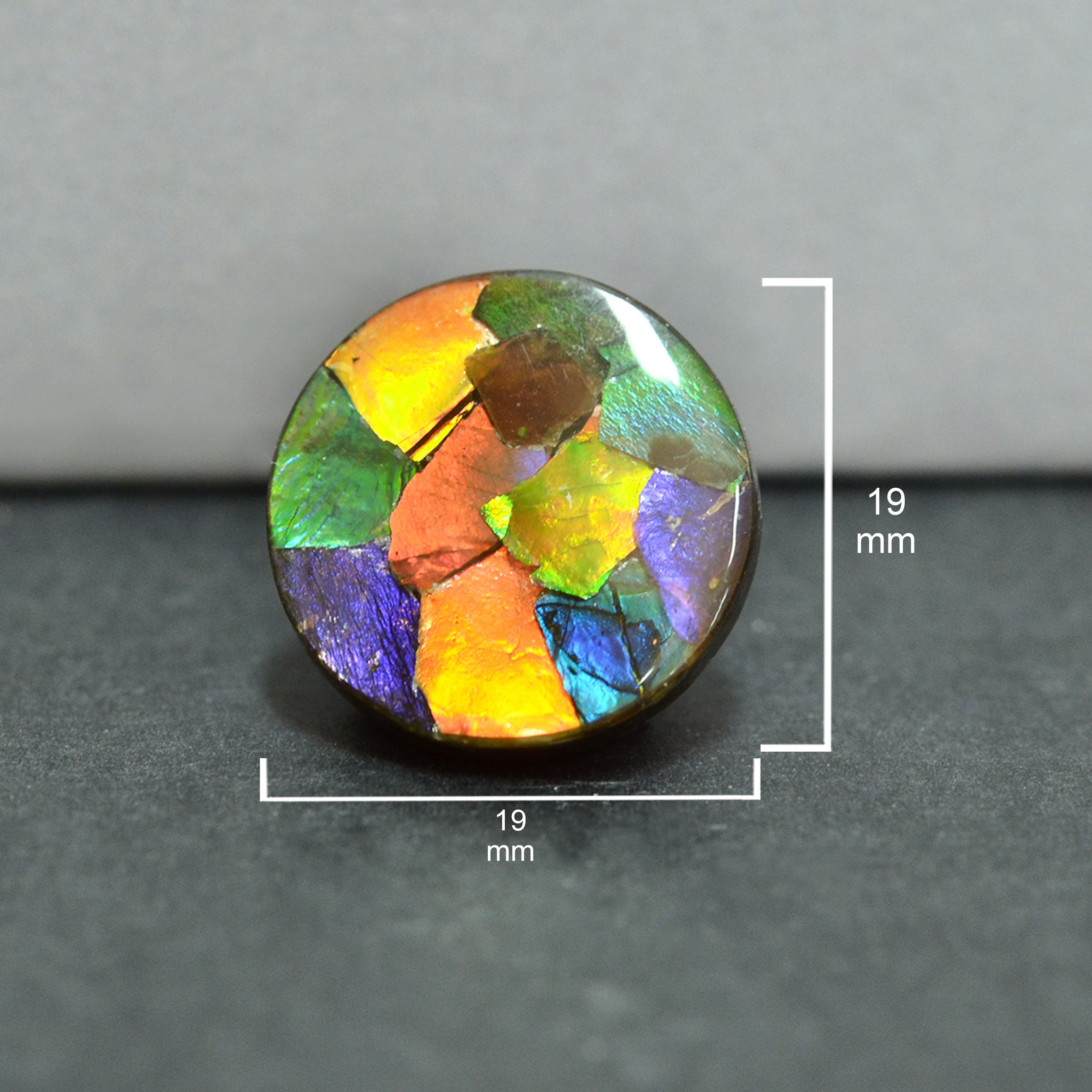 Ammolite Loose Stone