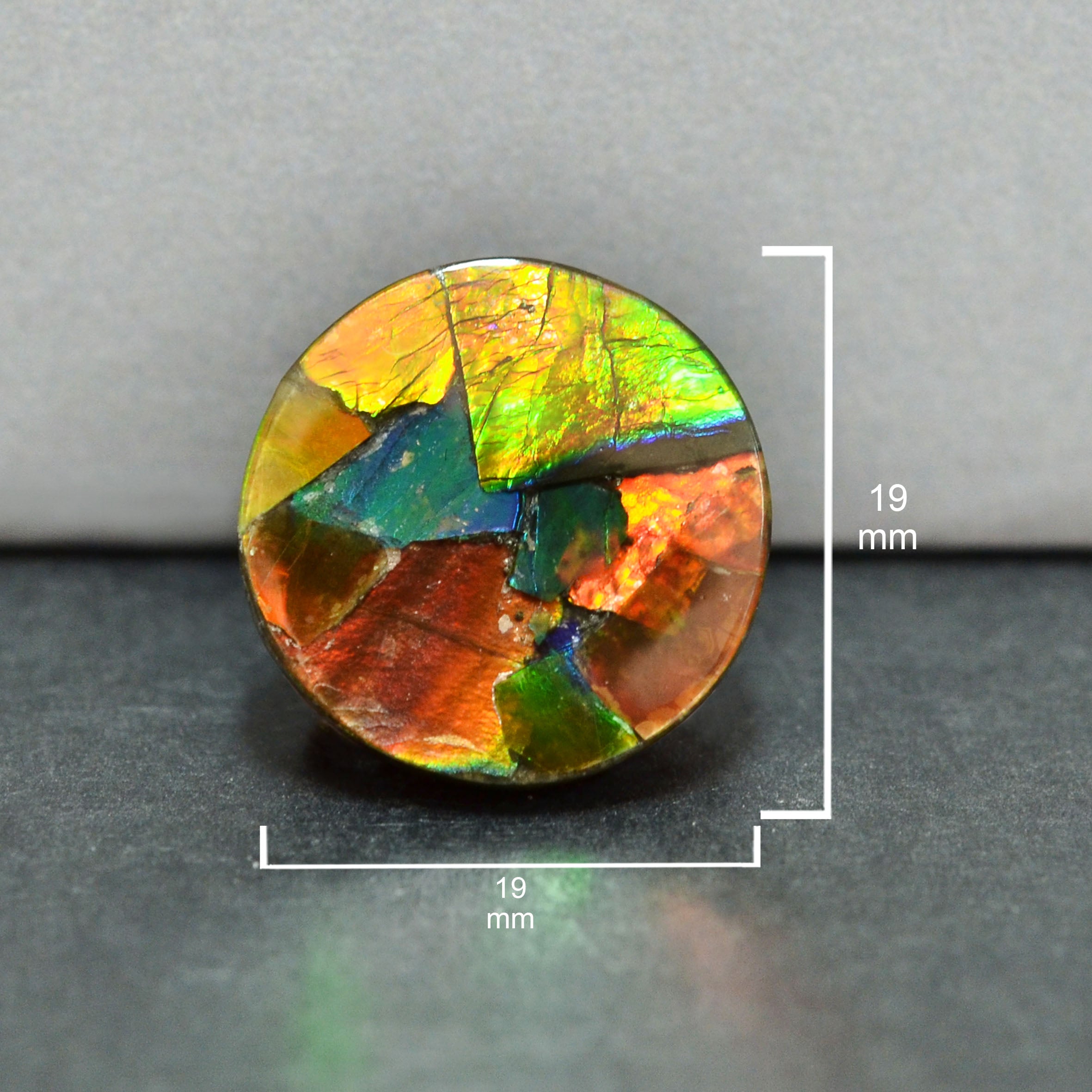 Ammolite Loose Stone