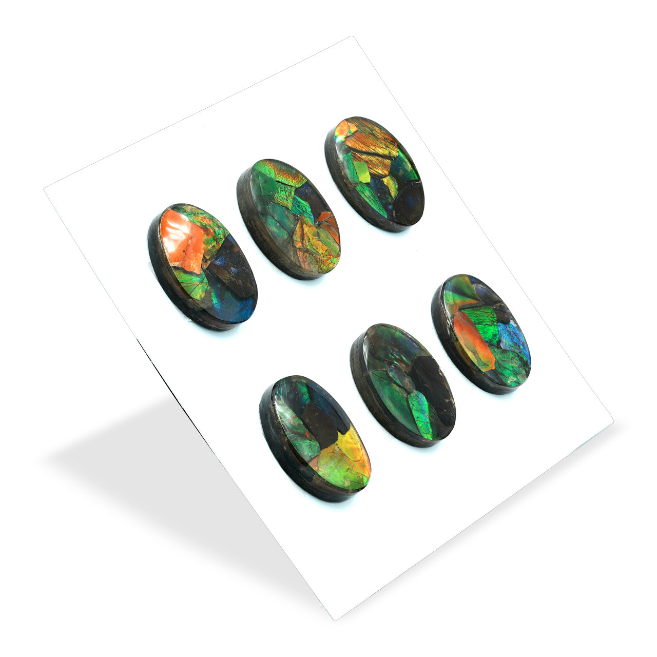 Ammolite Oval Cabochon 22mm