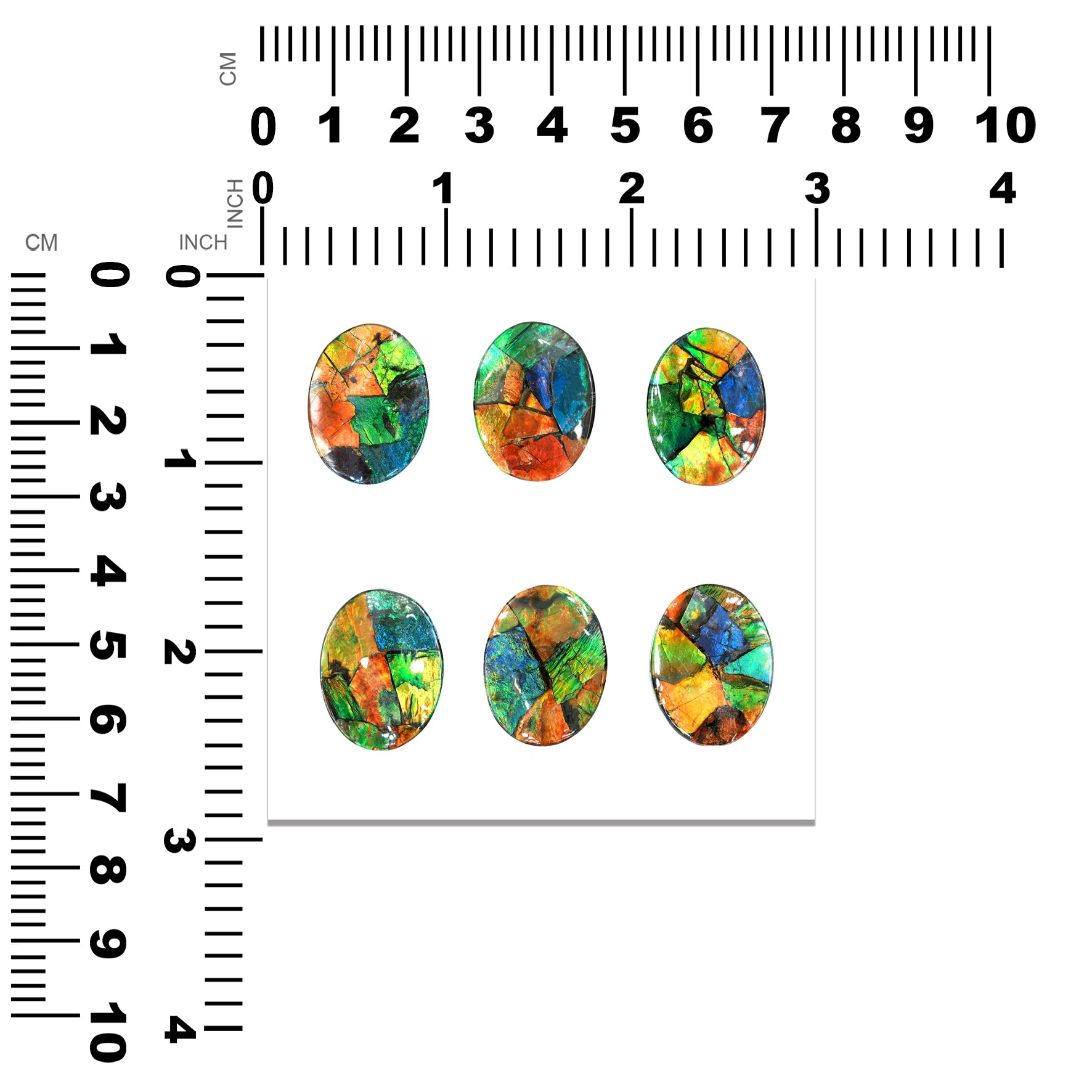 Ammolite Oval Cabochon 22mm