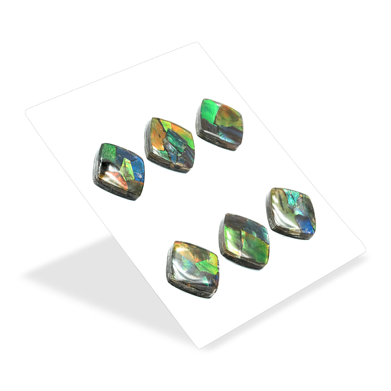 Ammolite Square Cabochon 16mm