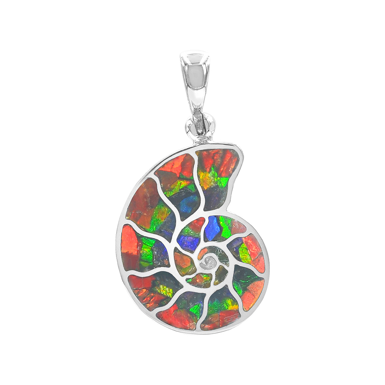 Nautilus Ammonite with Ammolite Inlay