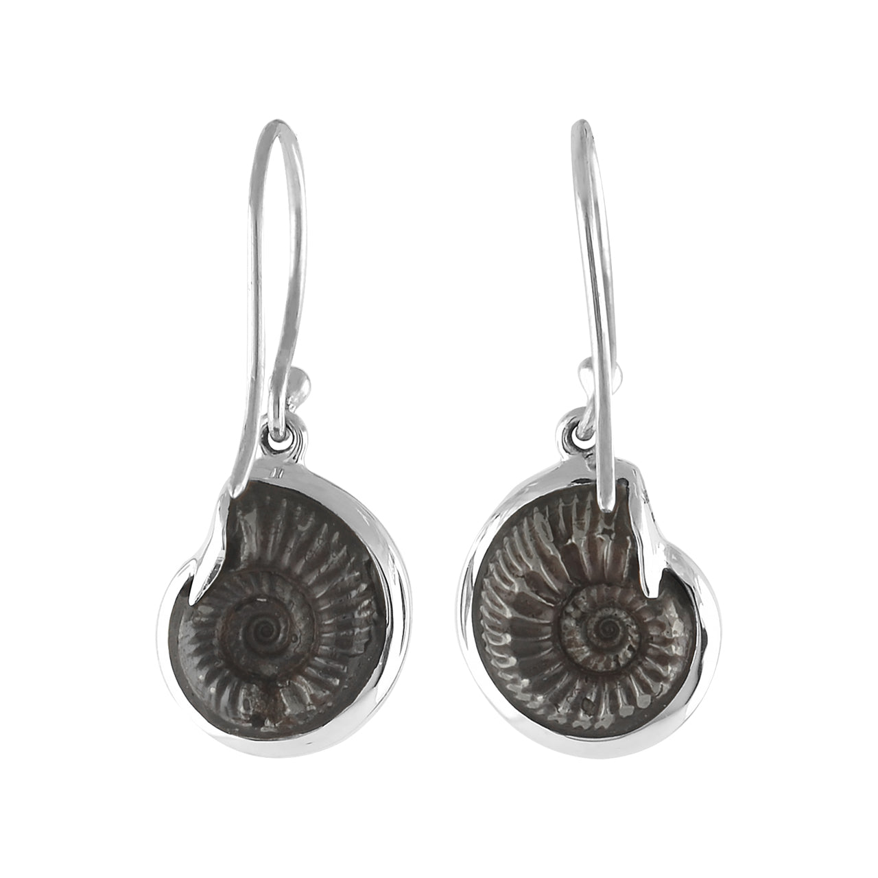 Hematite Ammonite Earrings