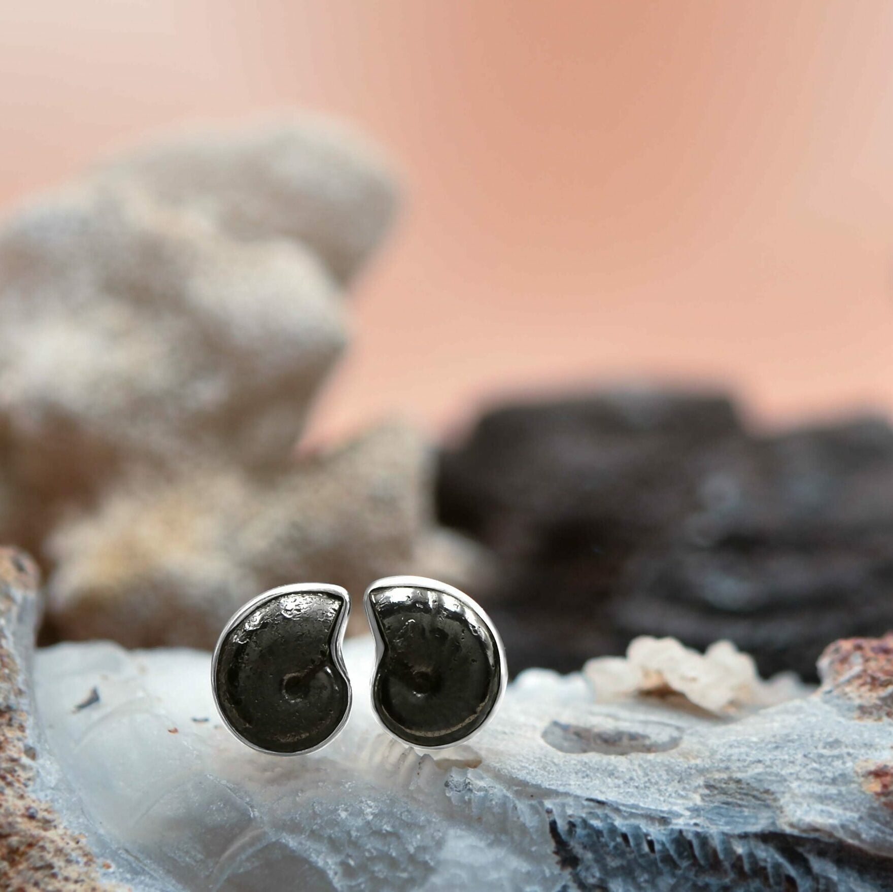 Ammonite Hematite post Earrings