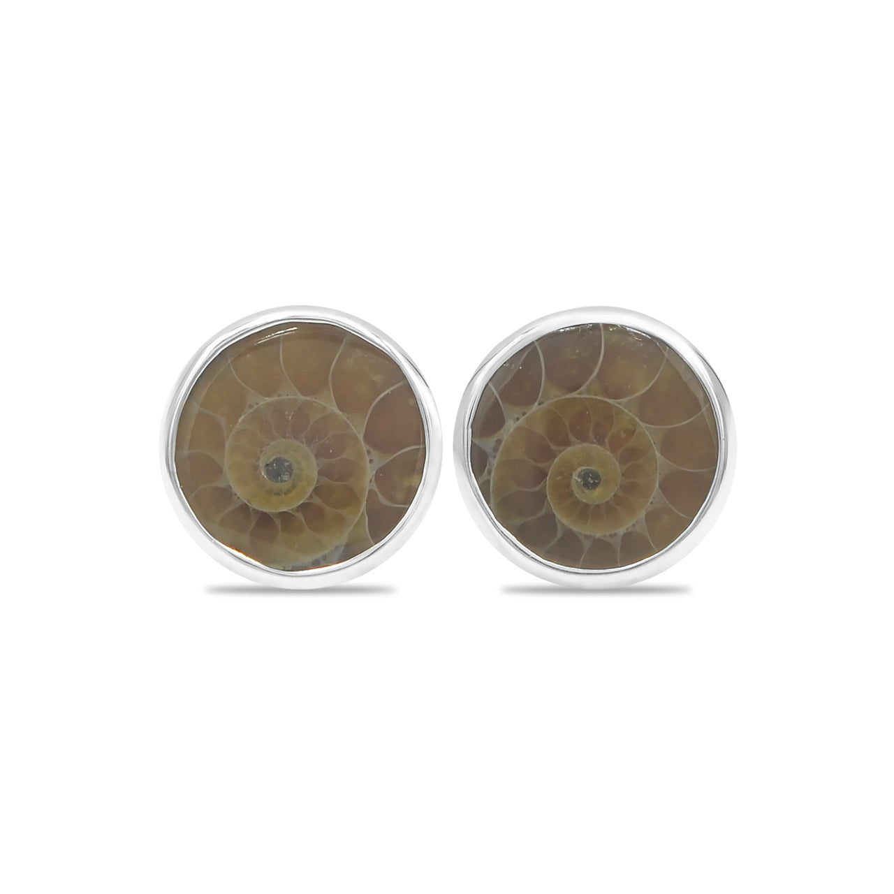 Ammonite Post Style Earrings Round 10mm