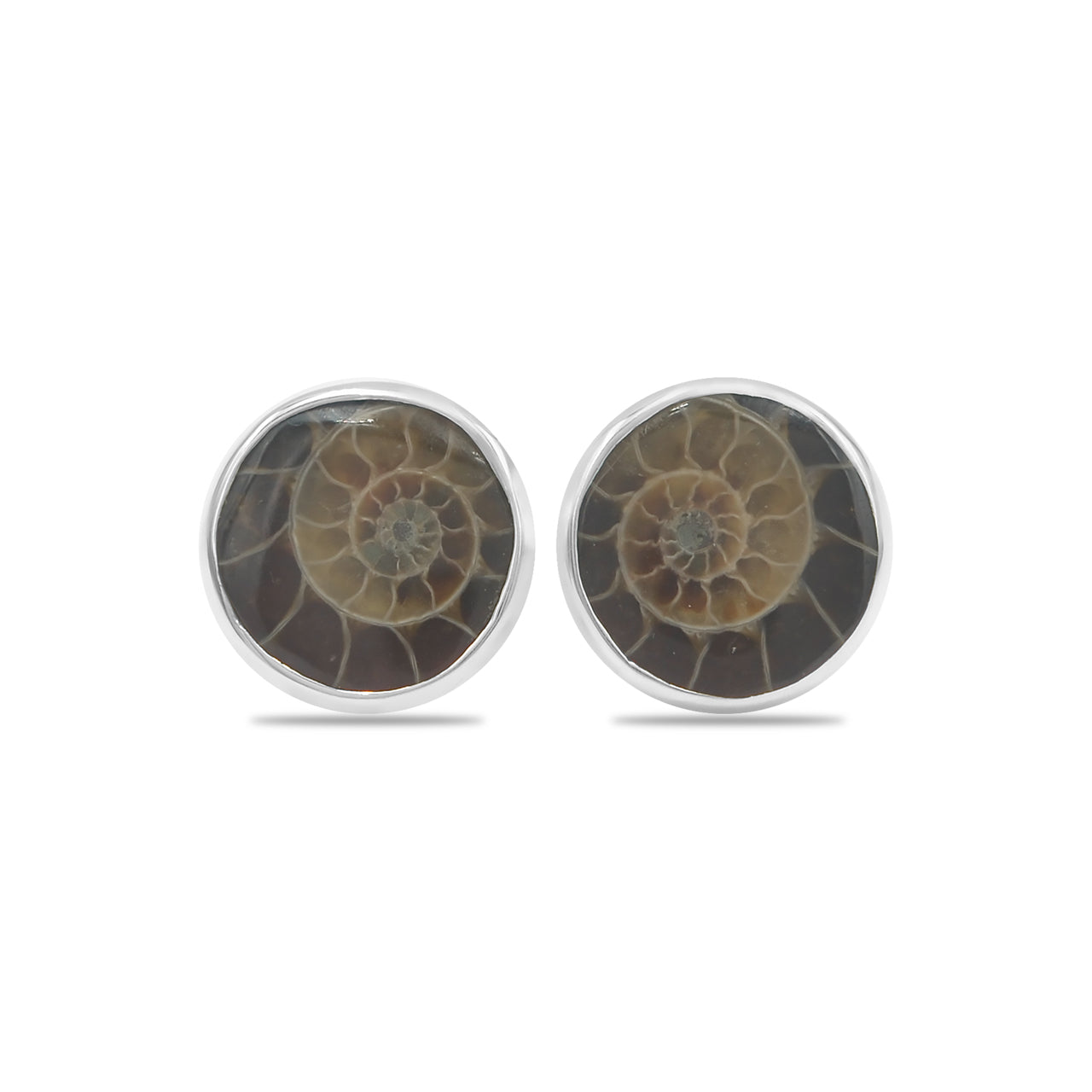 Ammonite Post Style Earrings Round 10mm