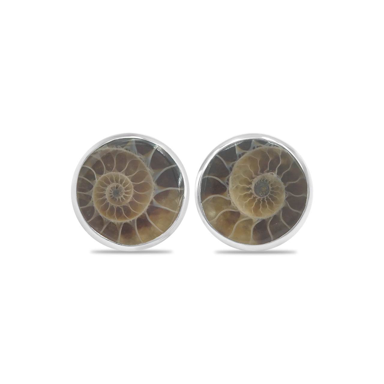 Ammonite Post Style Earrings Round 10mm