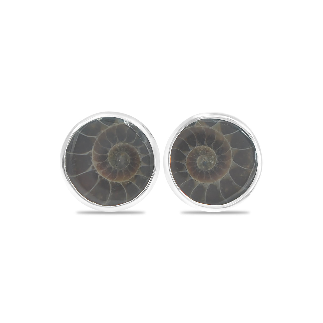 Ammonite Post Style Earrings Round 10mm