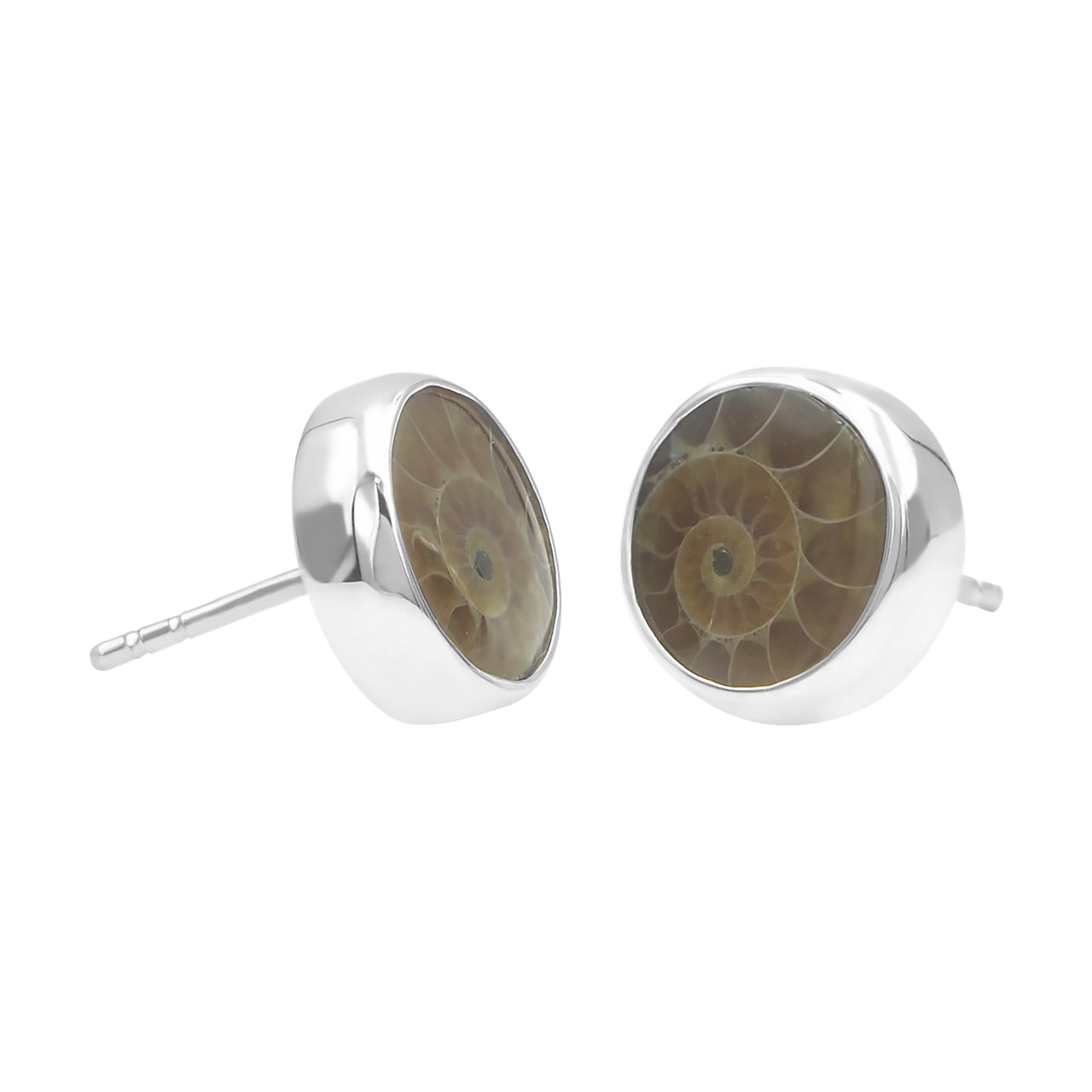 Ammonite Post Style Earrings Round 10mm