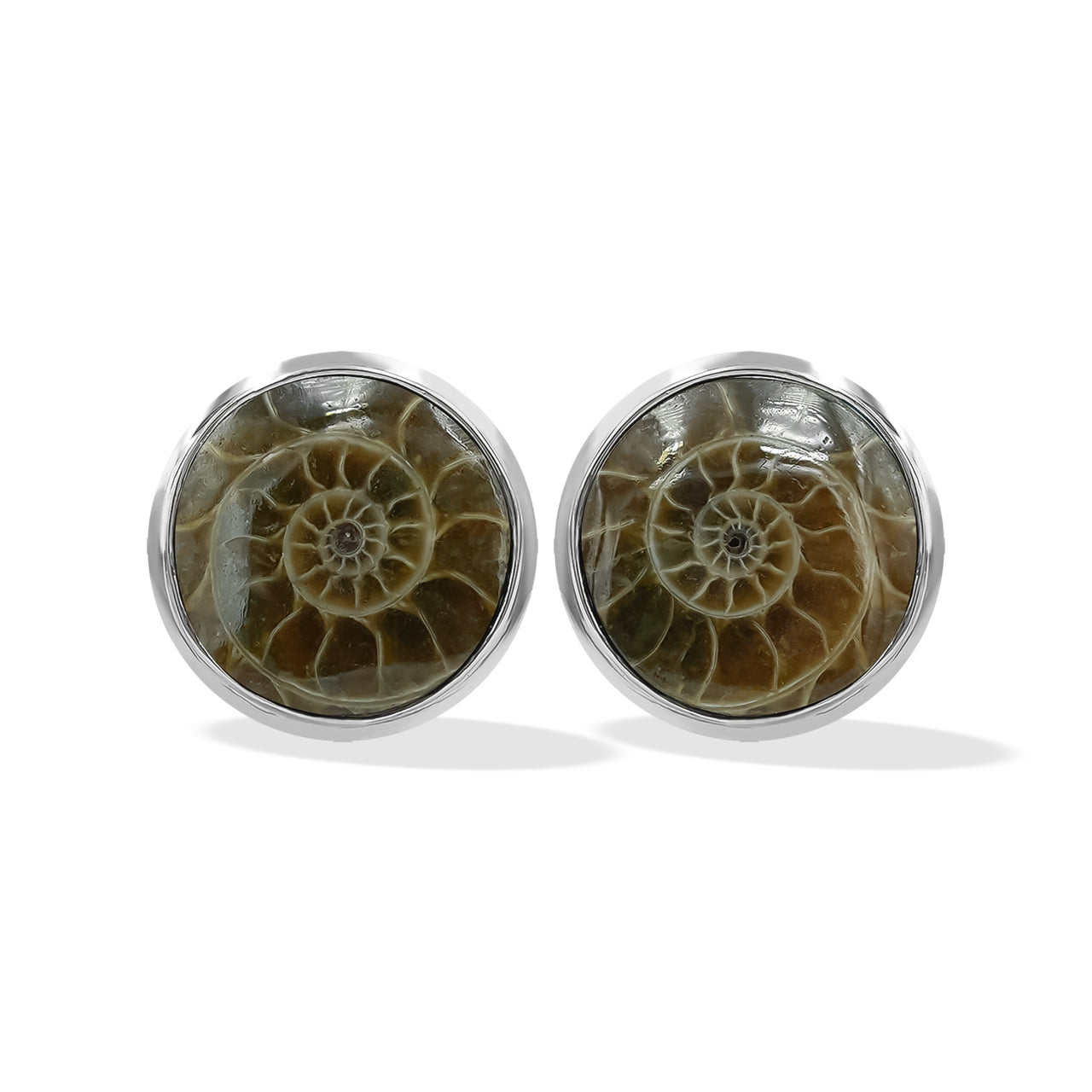 Fossilized Ammonite Post Earrings 8mm