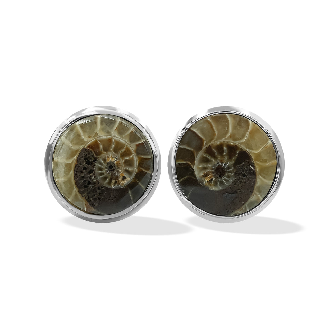 Fossilized Ammonite Post Earrings 8mm