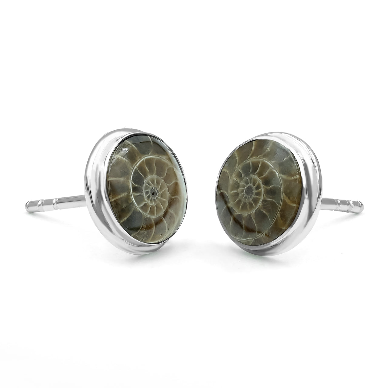 Fossilized Ammonite Post Earrings 8mm