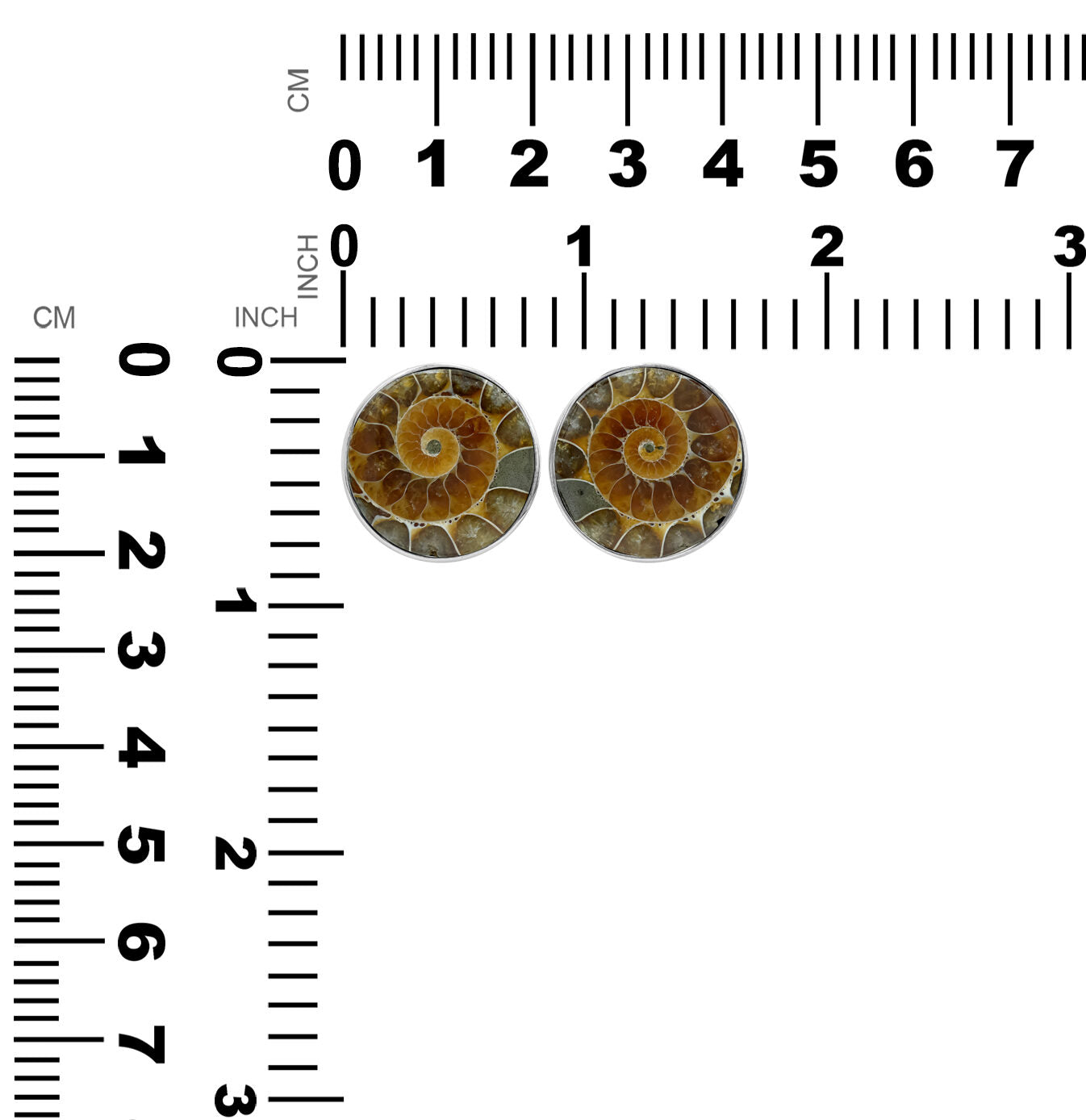 Ammonite Post Style Earrings Round 20mm