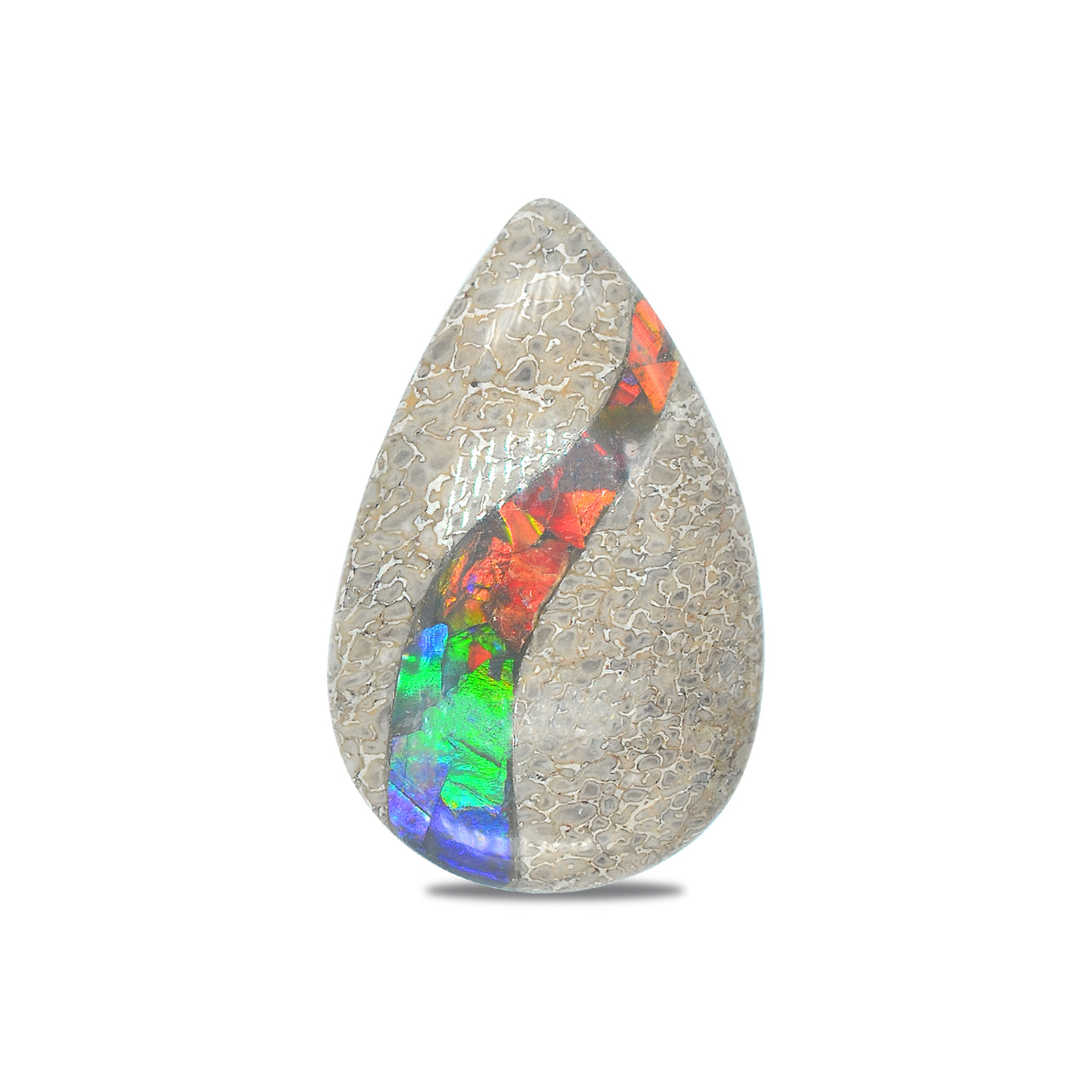 Dinosaur Bone with Ammolite Inlay Pear 25x40 mm