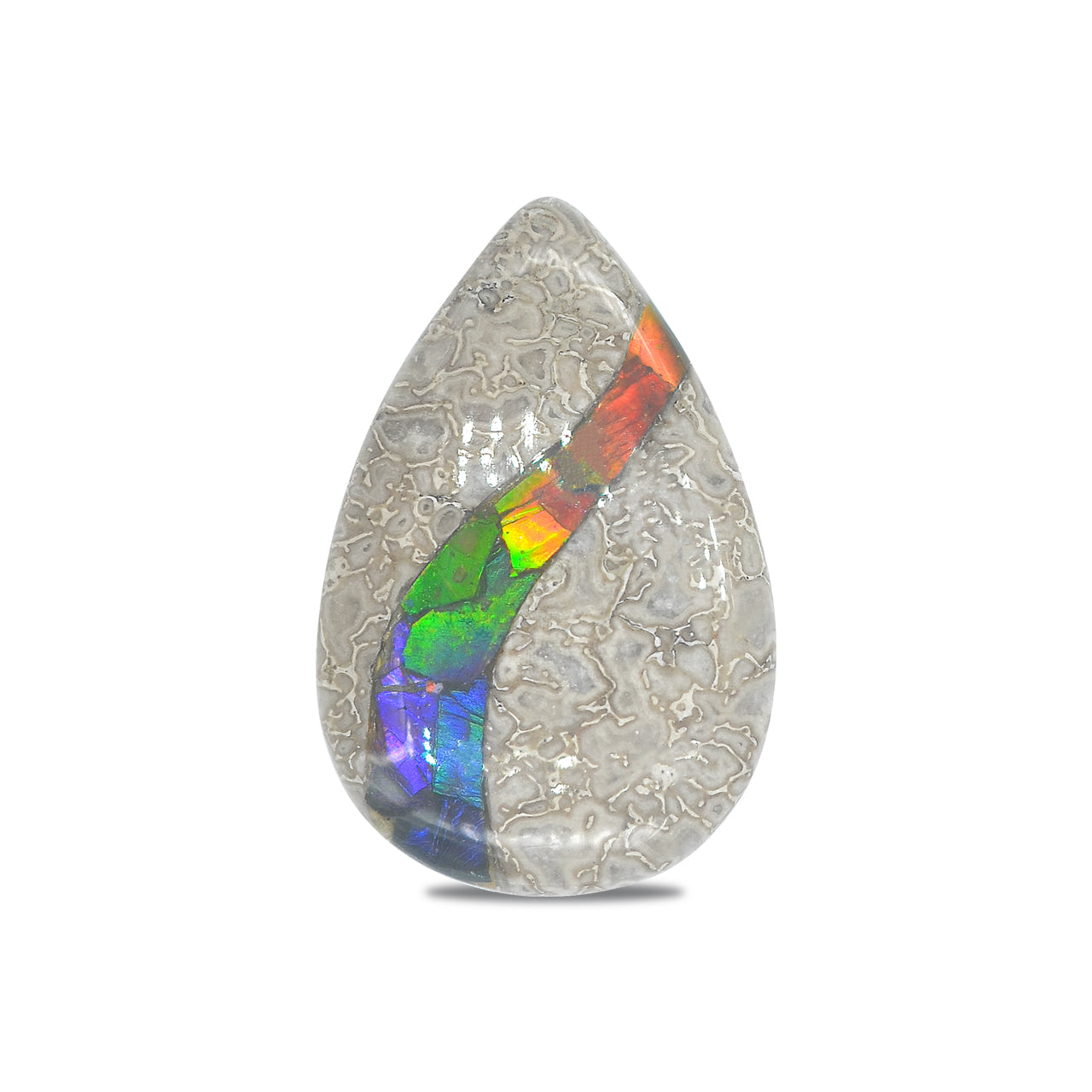 Dinosaur Bone with Ammolite Inlay Pear 25x40 mm