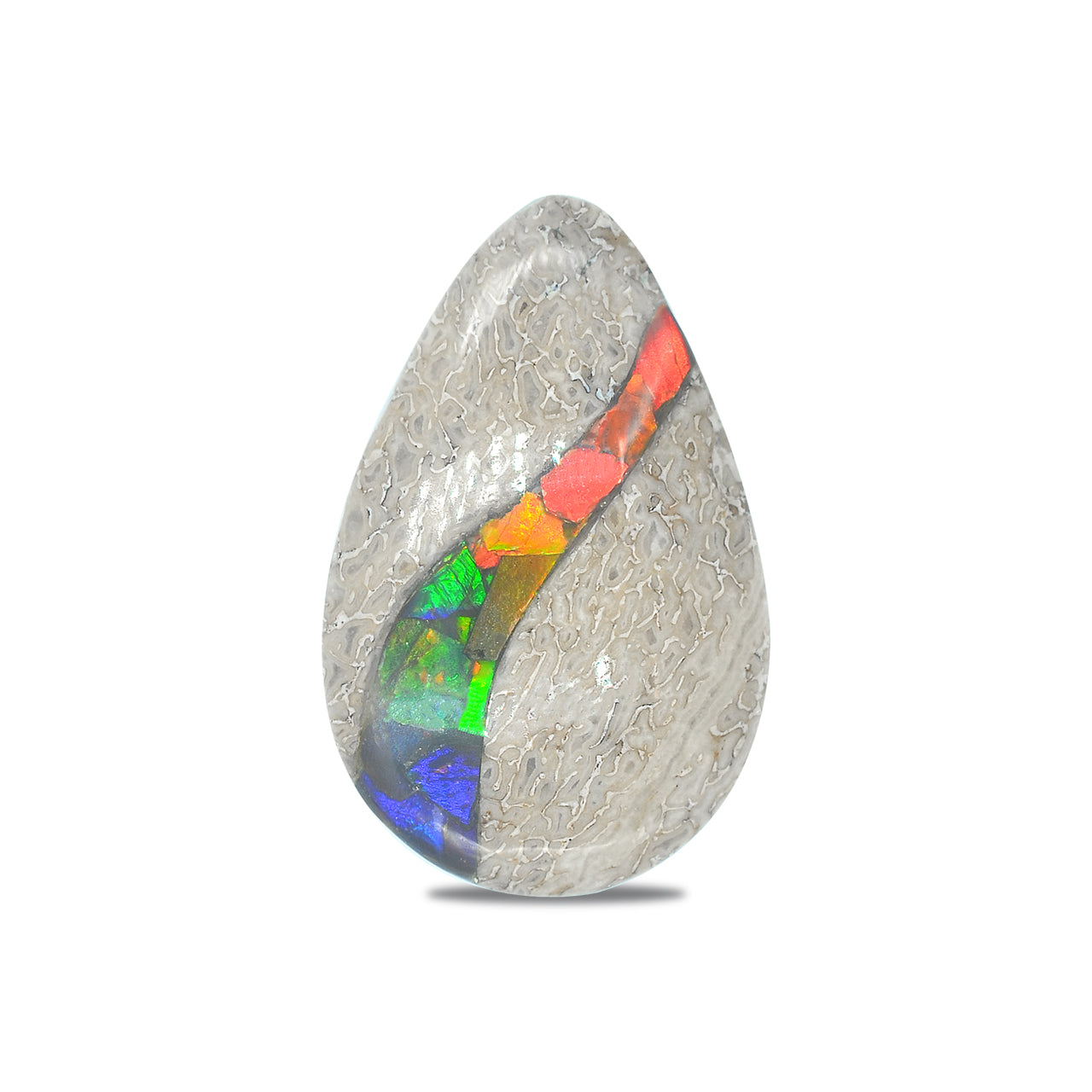 Dinosaur Bone with Ammolite Inlay Pear 25x40 mm