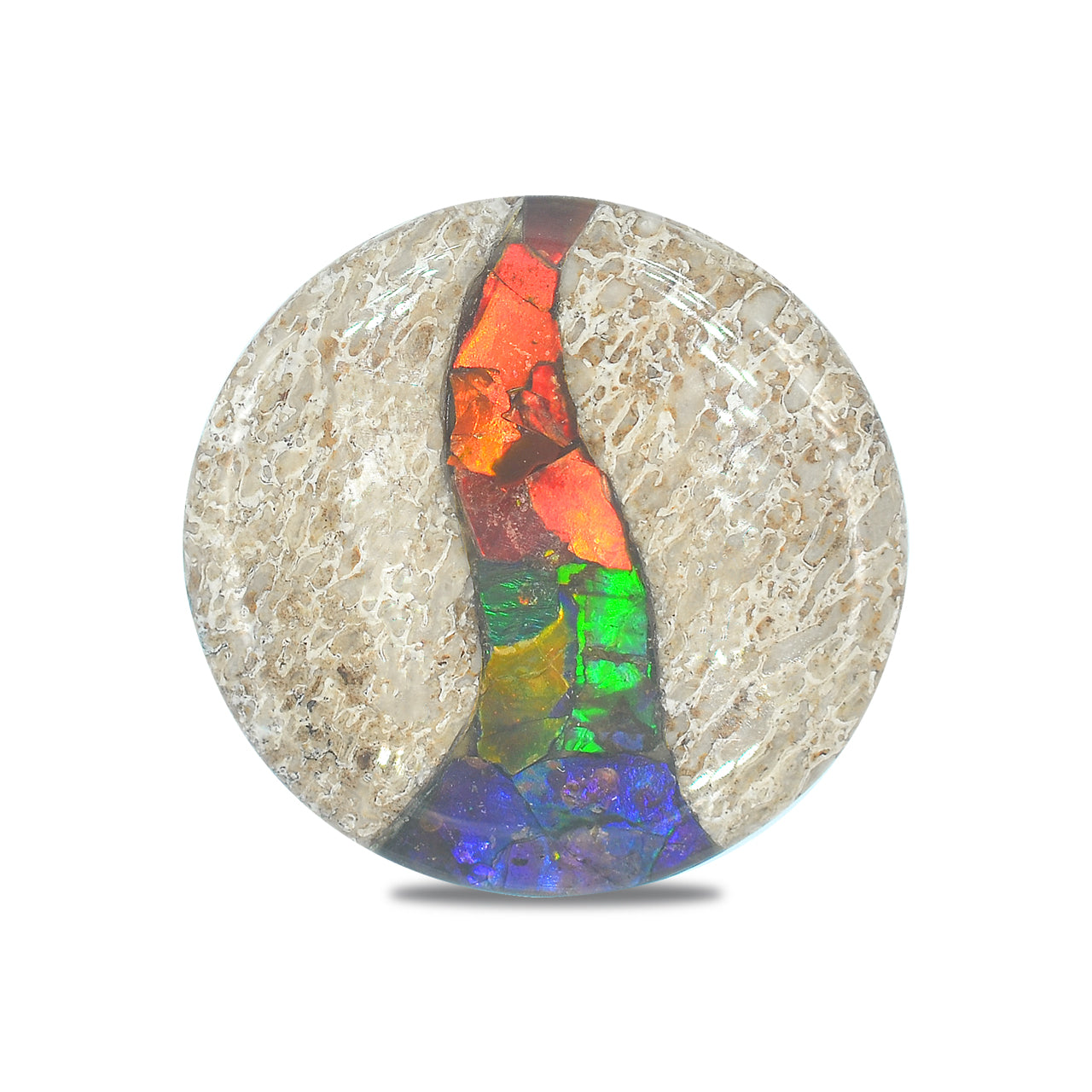 Dinosaur Bone with Ammolite Inlay round 35mm