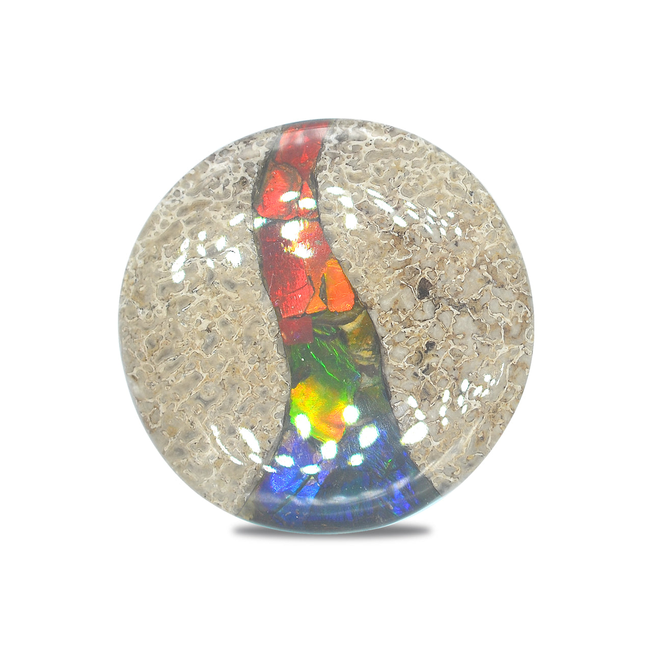 Dinosaur Bone with Ammolite Inlay round 35mm