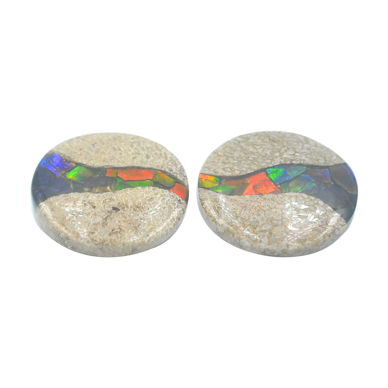 Dinosaur Bone with Ammolite Inlay round 35mm