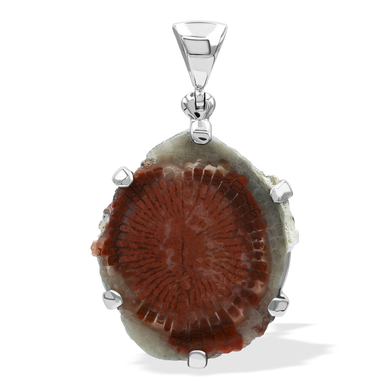 Utah Fossil Red Horn Coral Prong set Pendant