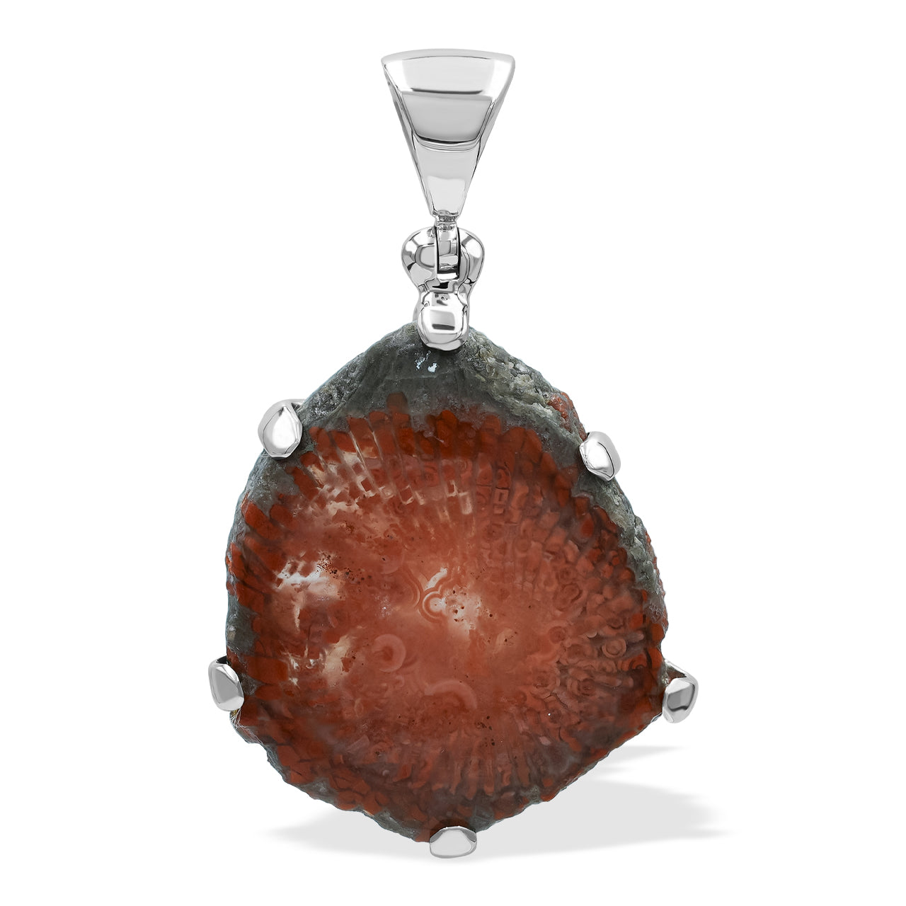 Utah Fossil Red Horn Coral Prong set Pendant