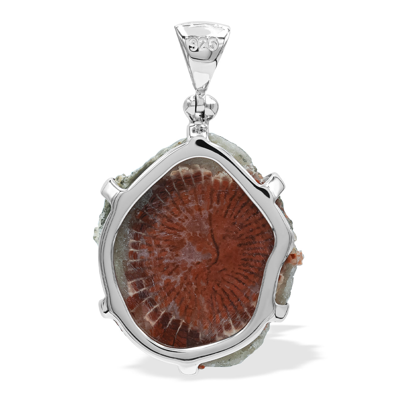 Utah Fossil Red Horn Coral Prong set Pendant