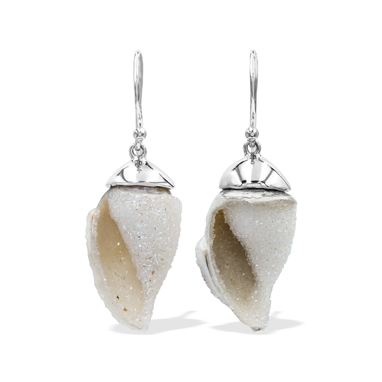 Drusy Fossilized Shell Earring