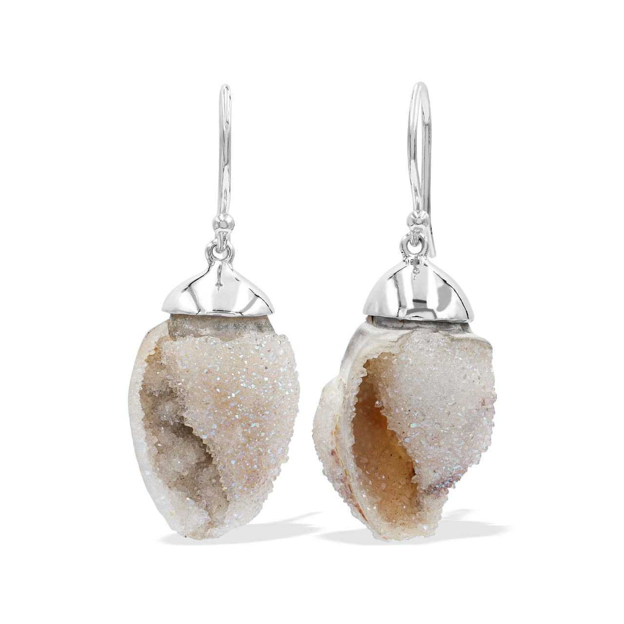 Drusy Fossilized Shell Earring