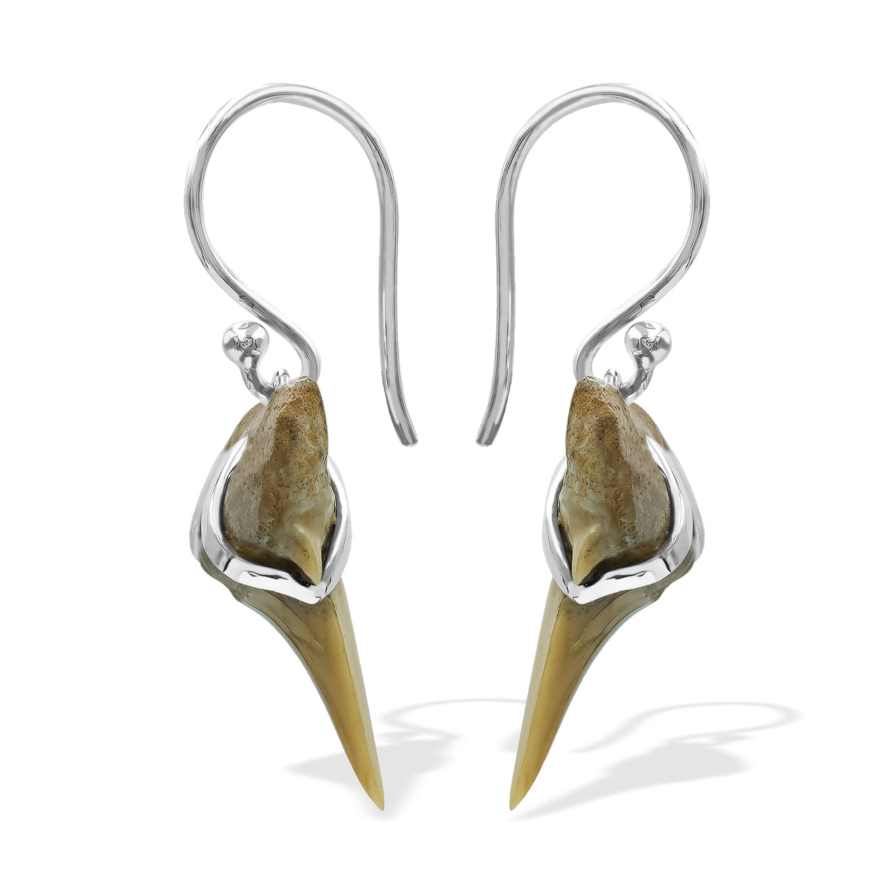 Fossil Shark Tooth Wrapped Wire Earrings