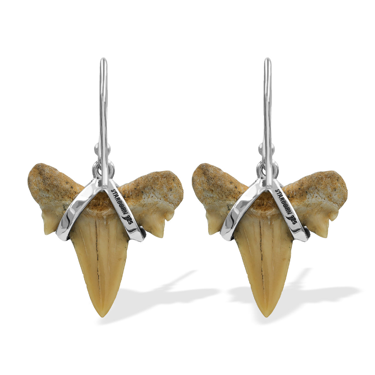 Fossil Shark Tooth Wrapped Wire Earrings