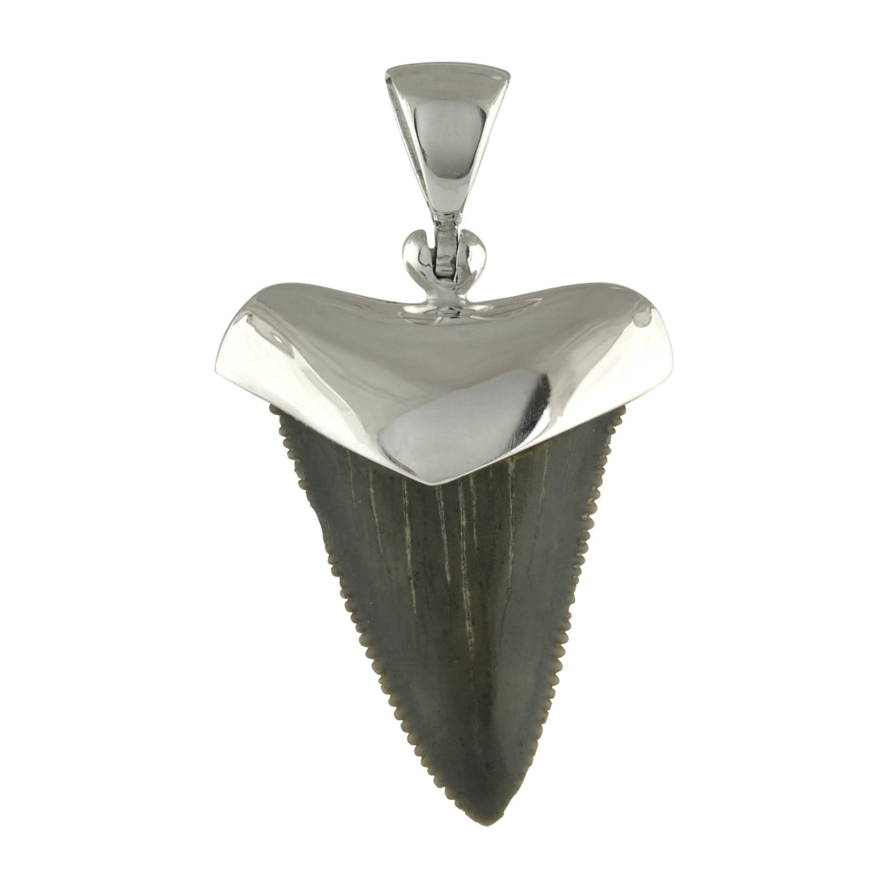 Fossil Shark Tooth Pendant