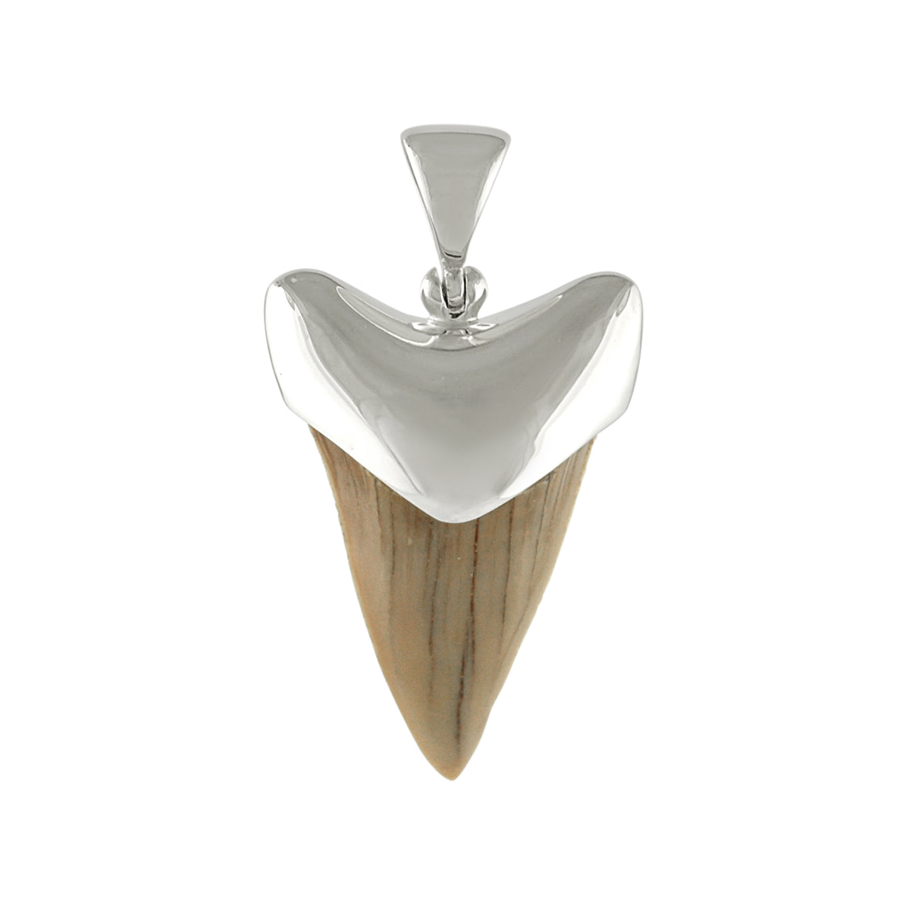 21-22 mm White fossil shark tooth pendant