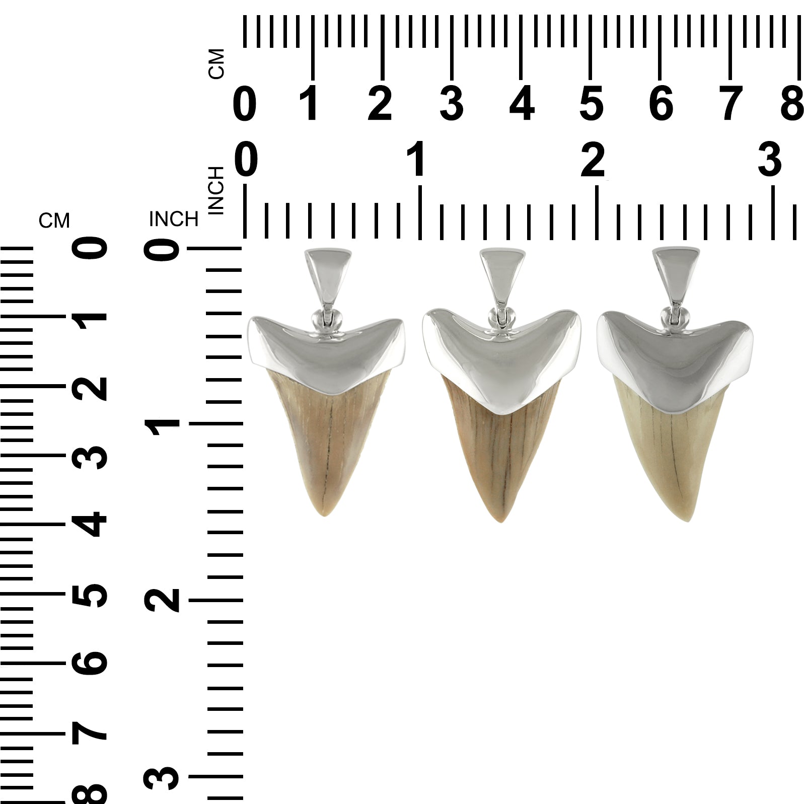 21-22 mm White fossil shark tooth pendant