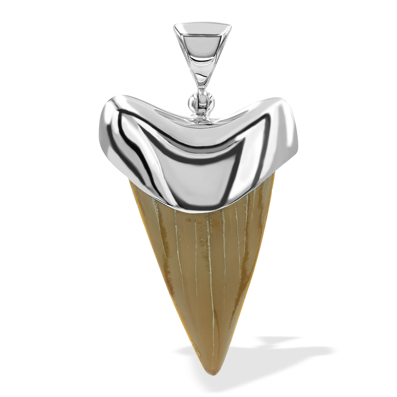 White Shark Tooth Pendant