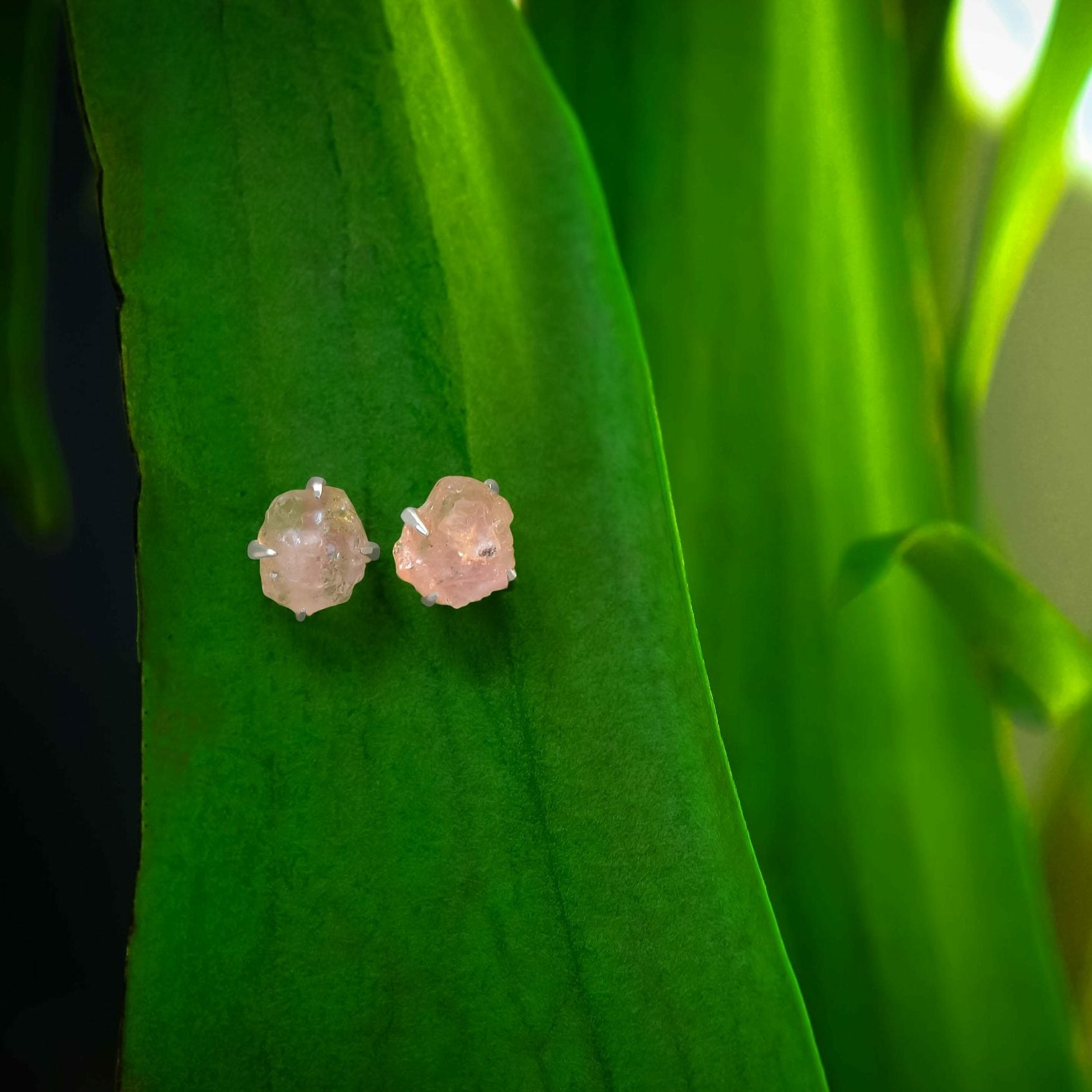 Morganite Prong Set Post Style Earrings