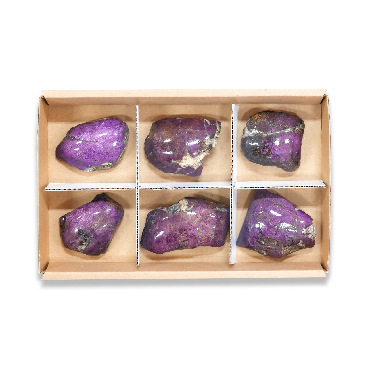 Collector Purpurite 6 pcs