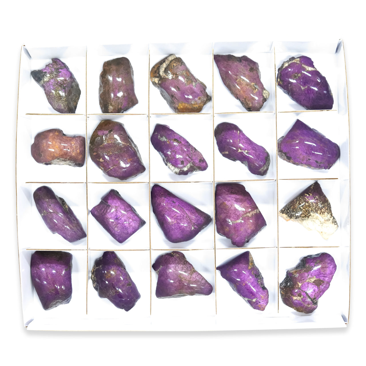 Large Box Purpurite 20 pcs