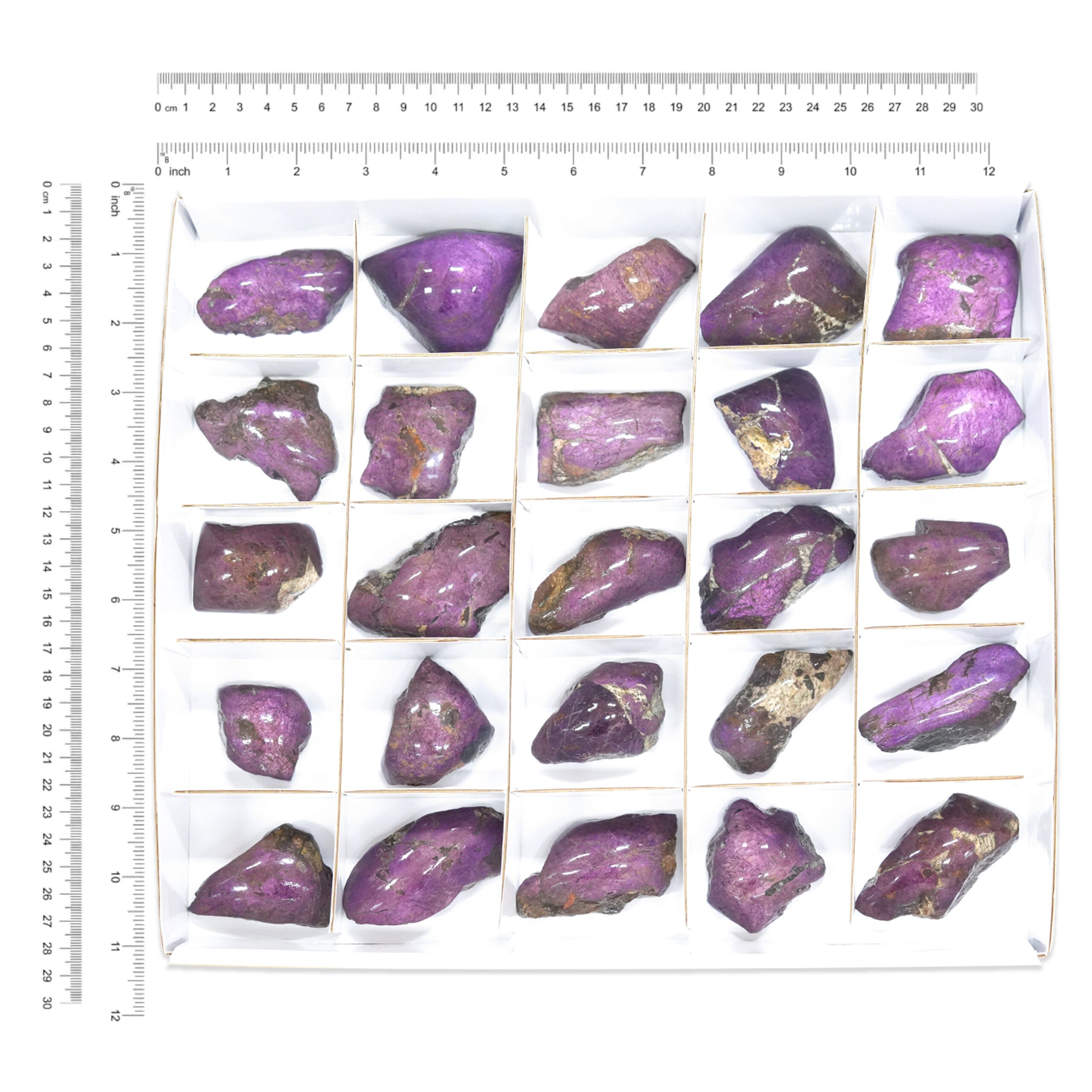 Large Box Purpurite 25 pcs