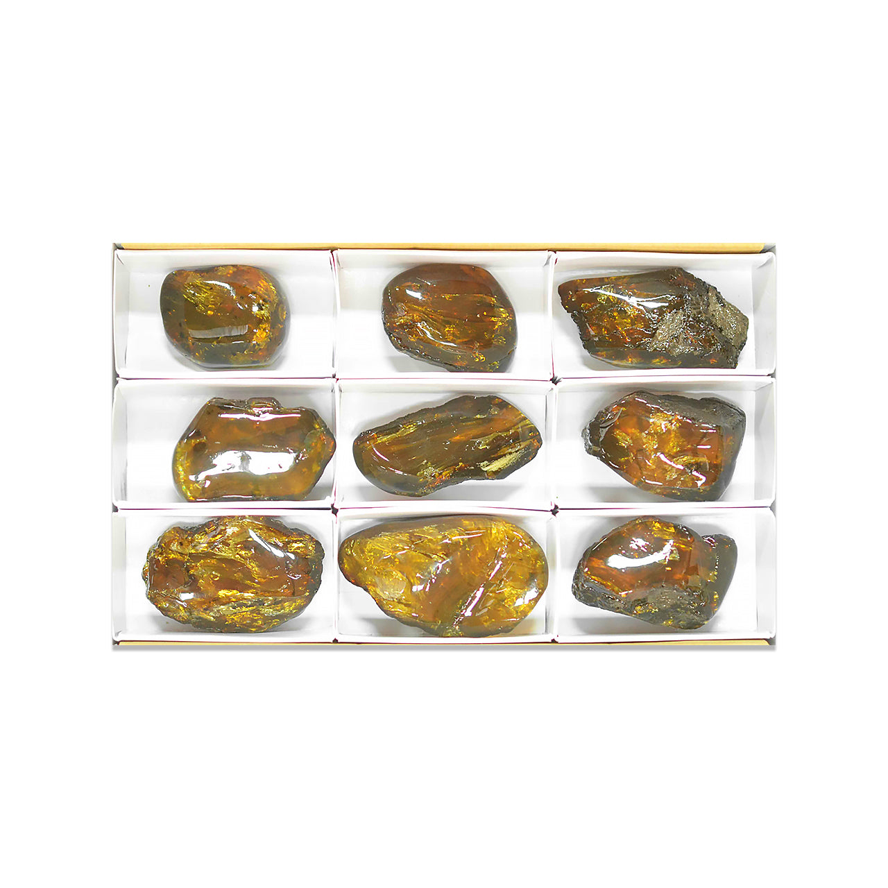 Small Box Lion's Mane Amber, 9 pcs