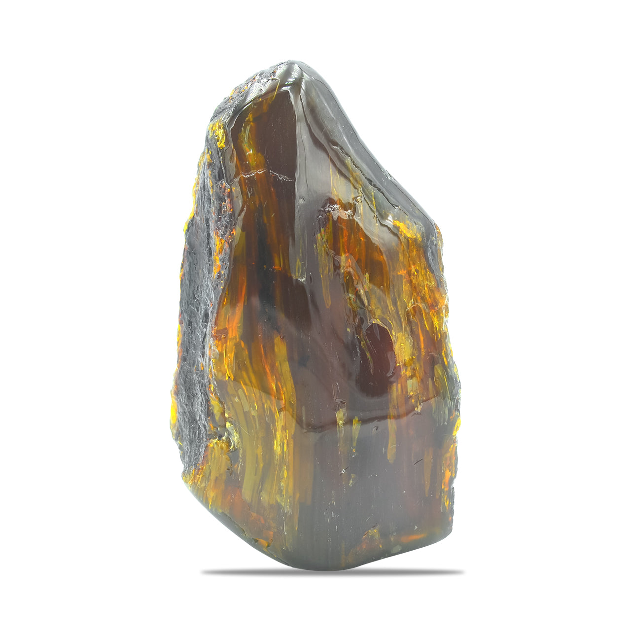 Collector Lion's Mane Amber 130-150 gr