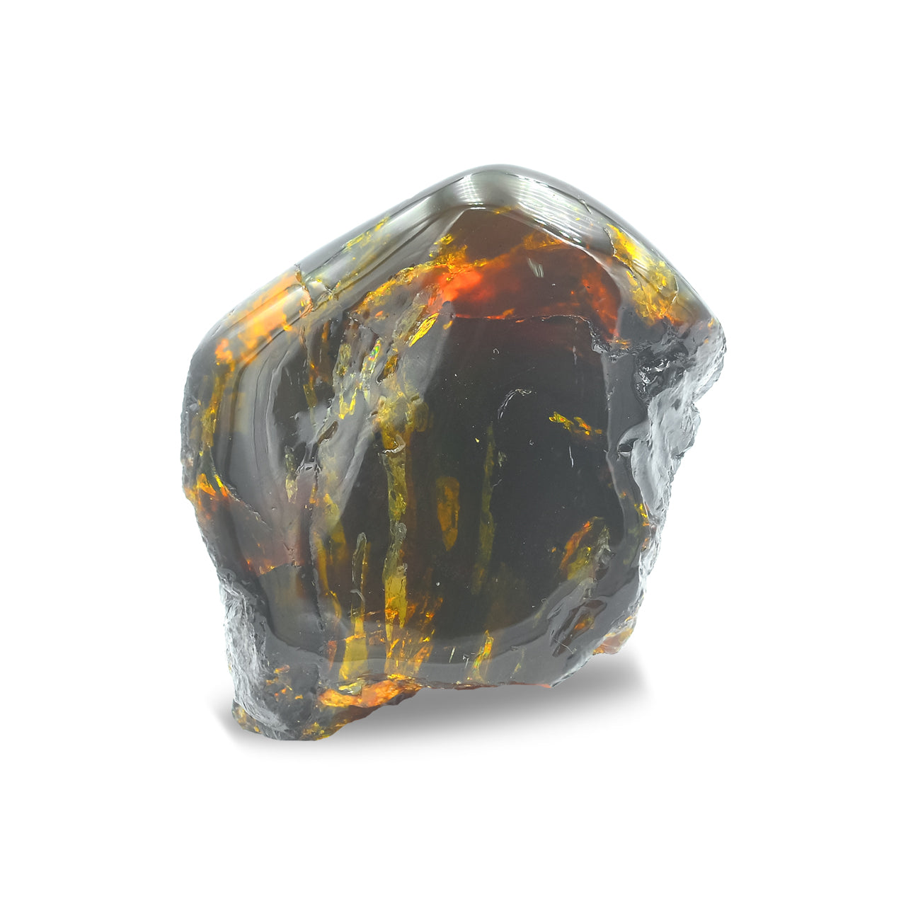 Collector Lion's Mane Amber 130-150 gr