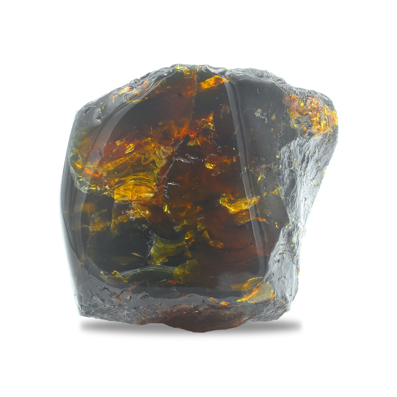 Collector Lion's Mane Amber 130-150 gr