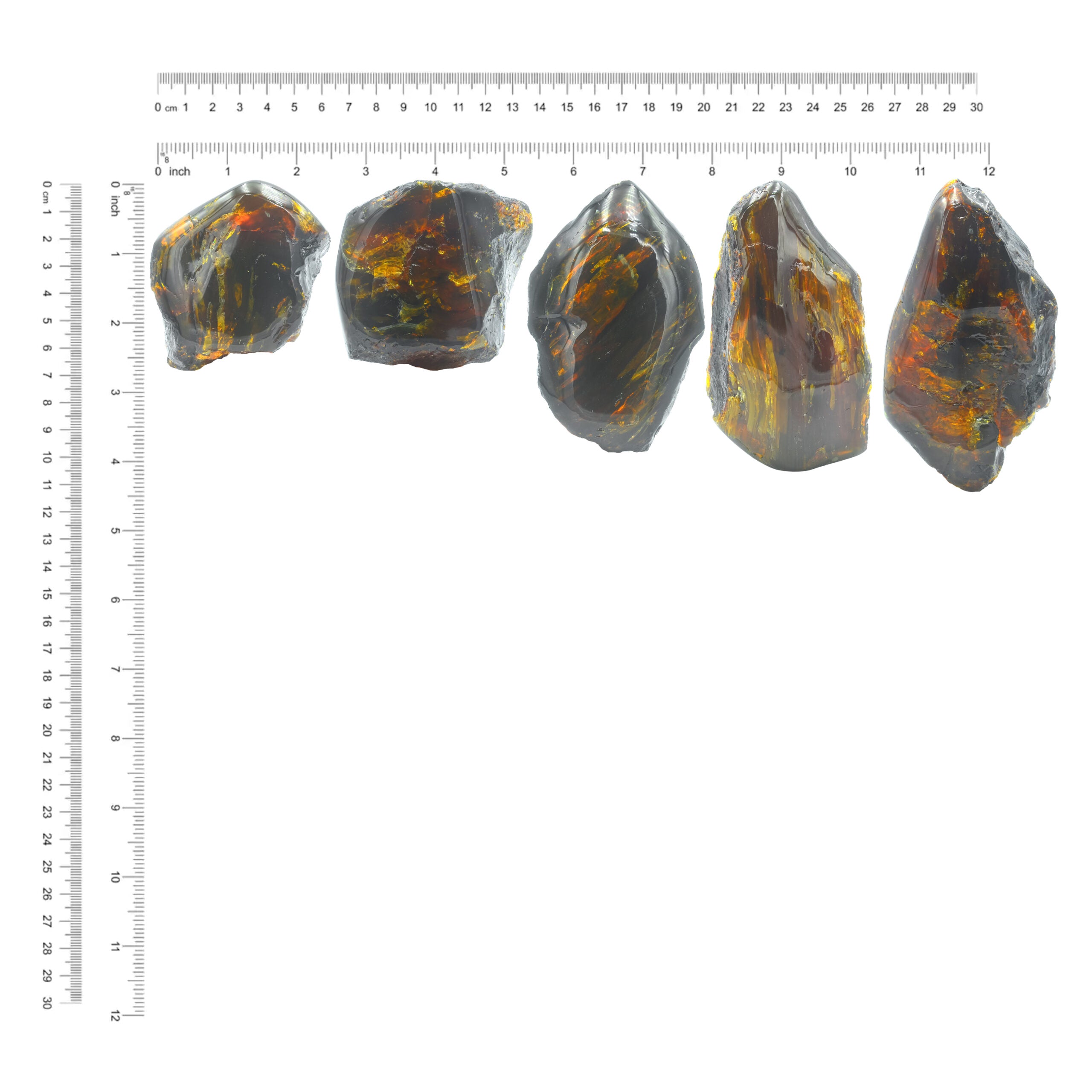 Collector Lion's Mane Amber 130-150 gr