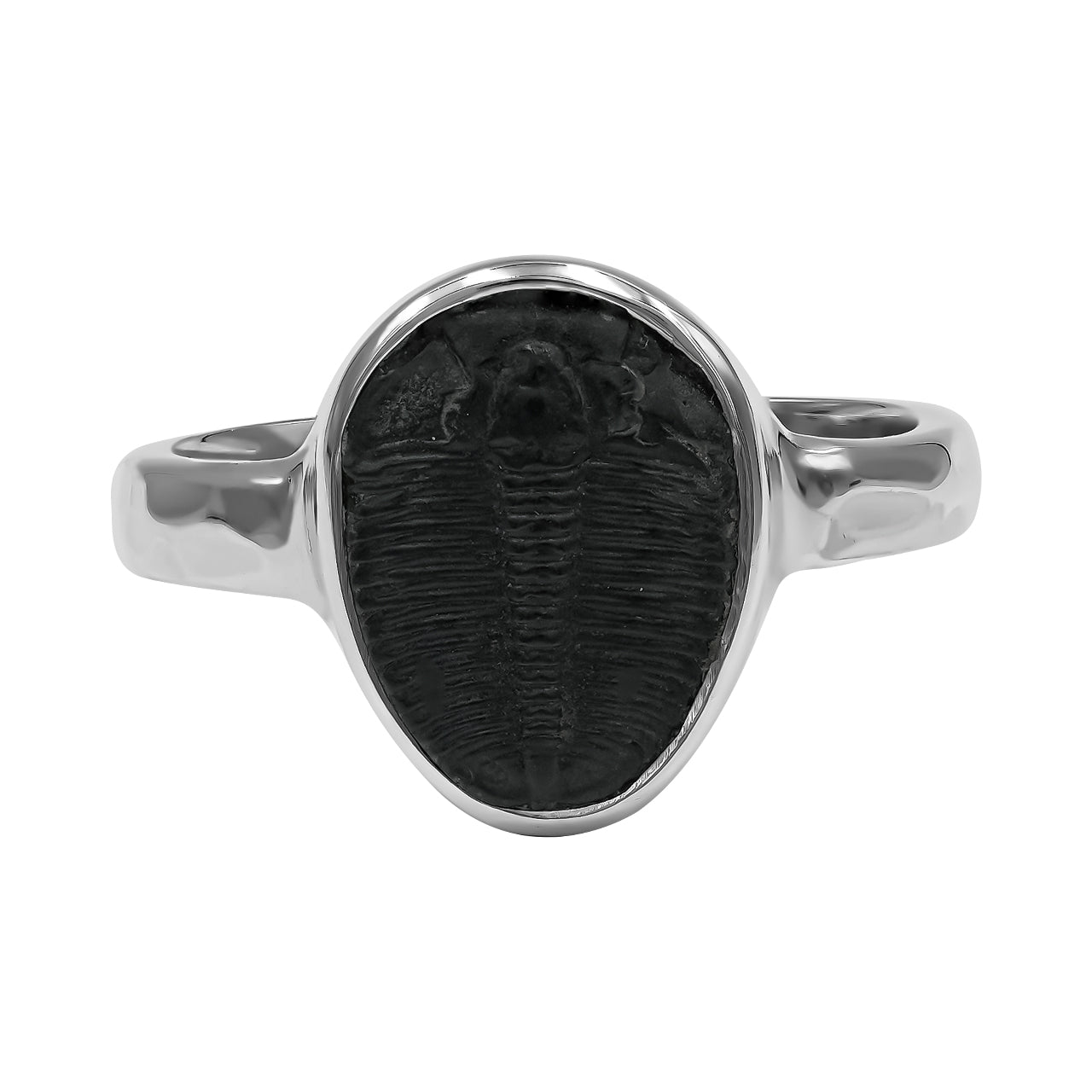 Trilobite Ring - Small