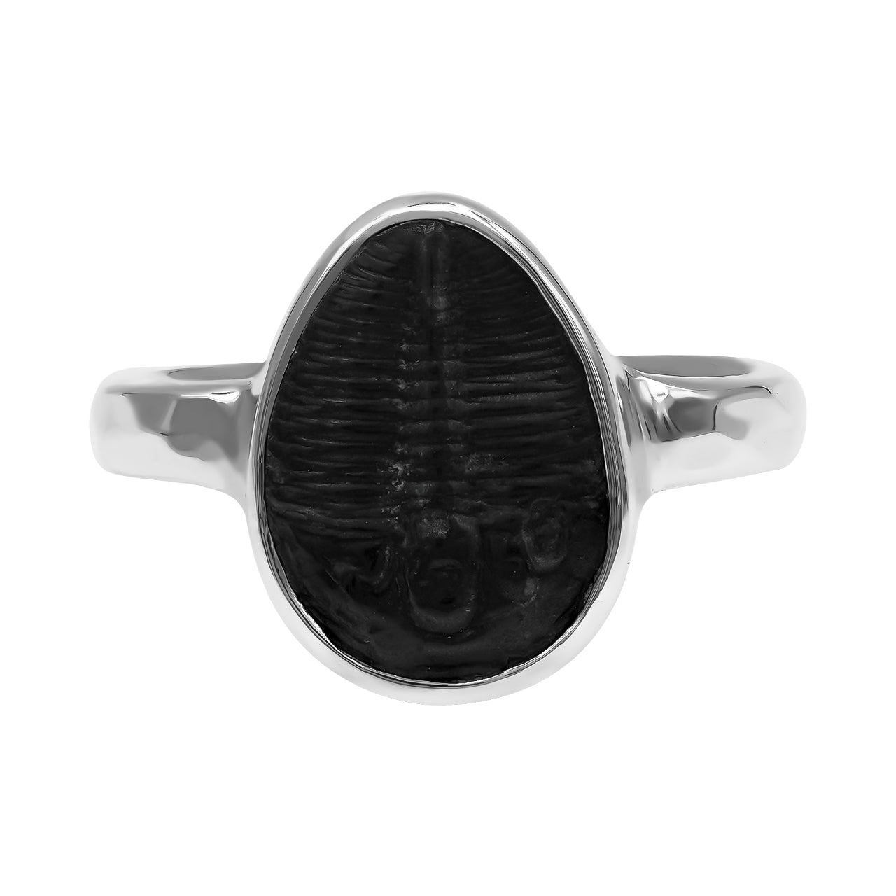 Trilobite Ring - Small