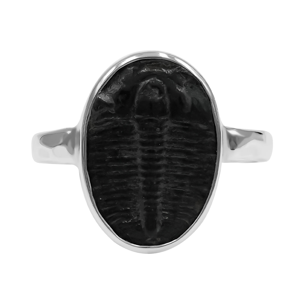 Trilobite Ring - Medium